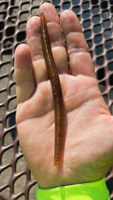 Pond Wand in a man's hand