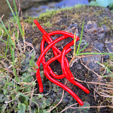Red Pond Pro Sqworms on a rock with foliage and moss surrounding them.