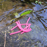 Bubblegum Pink Sqworms on a rock next to water flowing in the background.