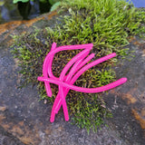 Bubblegum Pink Sqworms on a rock covered in moss.