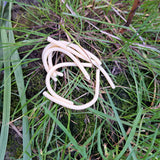 Pond Pro Sqworms in the color cream in grass.