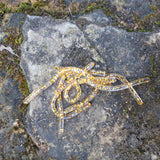 Pond Pro Gold Flake Sqworms on a flat rock with moss.