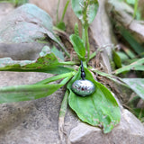 One Pond Pro Up-Shot weight on a leaf with rocks in the background.