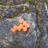 Bubble Gum Orange Scorn on a rock with moss and sand.