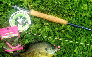 Panfish on a hook, caught using a Pond Pro Sqworm
