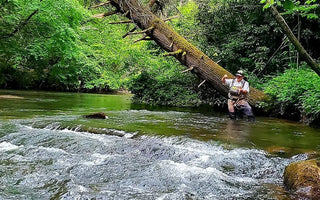 Pond Pro, Michael Willett,  Wade Fishing