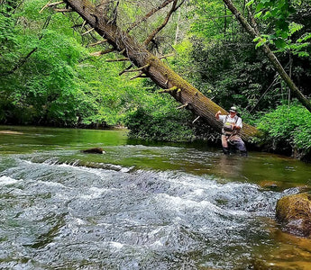 Pond Pro, Michael Willett,  Wade Fishing at Fighting Town Creek in North Georgia 