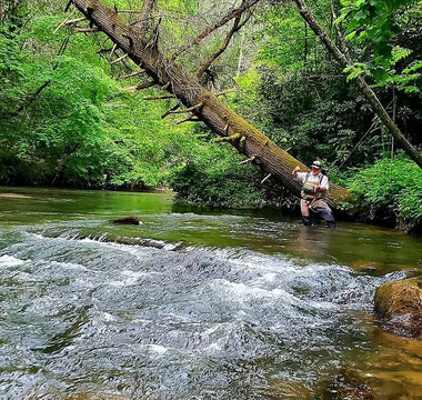 Pond Pro, Michael Willett,  Wade Fishing at Fighting Town Creek in North Georgia 