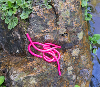 Taney Pink Pond Pro Sqworms on a rock with foliage and water in the background