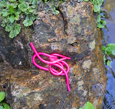 Taney Pink Pond Pro Sqworms on a rock with foliage and water in the background