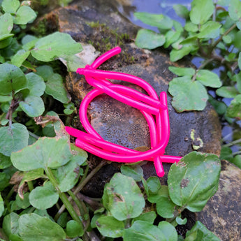 Pond Pro Sqworms on a rock surrounded by foliage with water in the background.