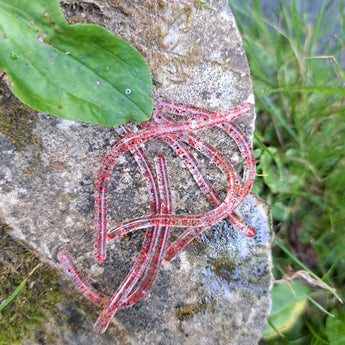 Pond Pro Red Flake Sqworms on a rock near foliage.