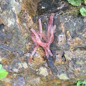 Pond Pro Red Flake Sqworms on a rock.