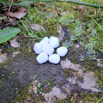 Pond Pro Scorn in the color white on a rock covered in moss surrounded by foliage.