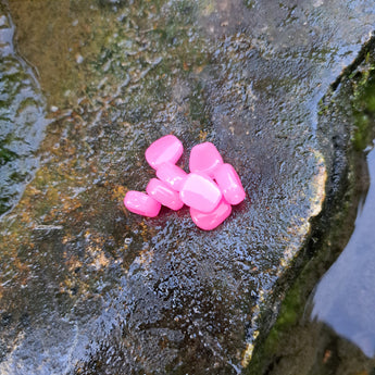 Bubblegum Pink Scorn on a wet rock.