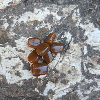 Pond Pro Scorn in the color brown in a pile on a rock.