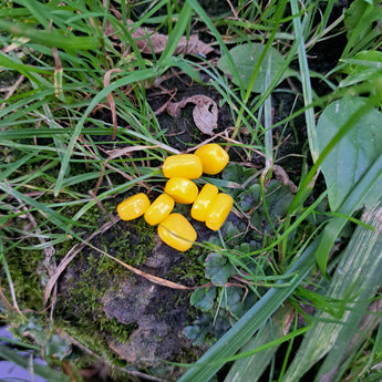 A pile of yellow Pond Pro Scorn on a rock surrounded by foliage.