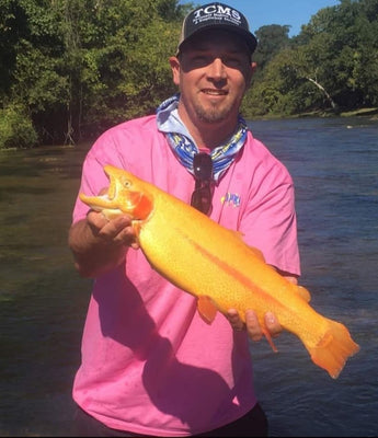 Pond Pro Guide, Tim Shannon, wading the Spring River in Arkansas holding a Golden Trout.