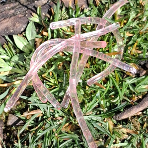 Sqworms™- Pink Flake Reusable Soft Plastics