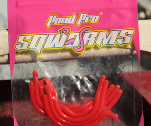 Sqworms™️ - Red Reusable Soft Plastics