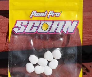 Scorn™️ - White Reusable Soft Plastics