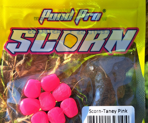 Packaging of Scorn fishing bait in Taney Pink color, with the product visible through a clear plastic window. The packaging is primarily yellow with text and branding, and includes a barcode and the slogan 'Catch more, use less.