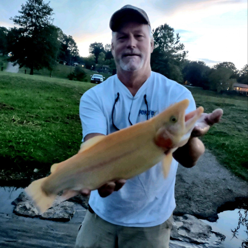 Man holding a large fish by a body of water with trees and grass in the background