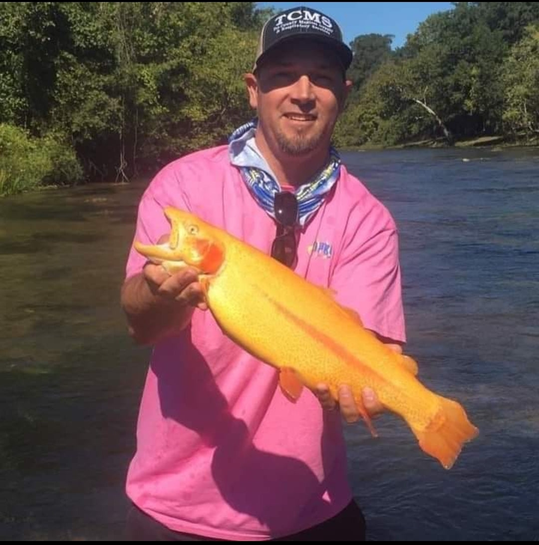 Pond Pro® Guide Trips - Tim Shannon - DRY RUN CREEK - SPRING RIVER - WHITE RIVER- NORFORK RIVER