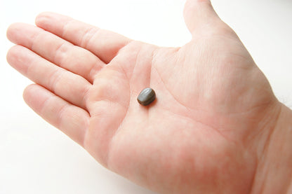Pond Pro Scorn in the color brown in the palm of a hand to show size